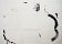 <p><em>Nine day diary</em> , mixed media drawing on paper</p>