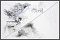 <p><em>Parallel Lines- Mapping another life #1</em>, Drawing on c-type photograph, 540 x 780mm</p>
<p>Merit Award Parkin Drawing Prize 2016</p>
