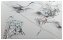 <p><em>Parallel Lines - mapping another life #5</em>, drawing and watercolour on c-type photograph, 540 x 780mm</p>
<p>Finalist Ashburton Zonta Female Art Award 2018</p>
