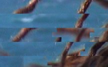 Video still